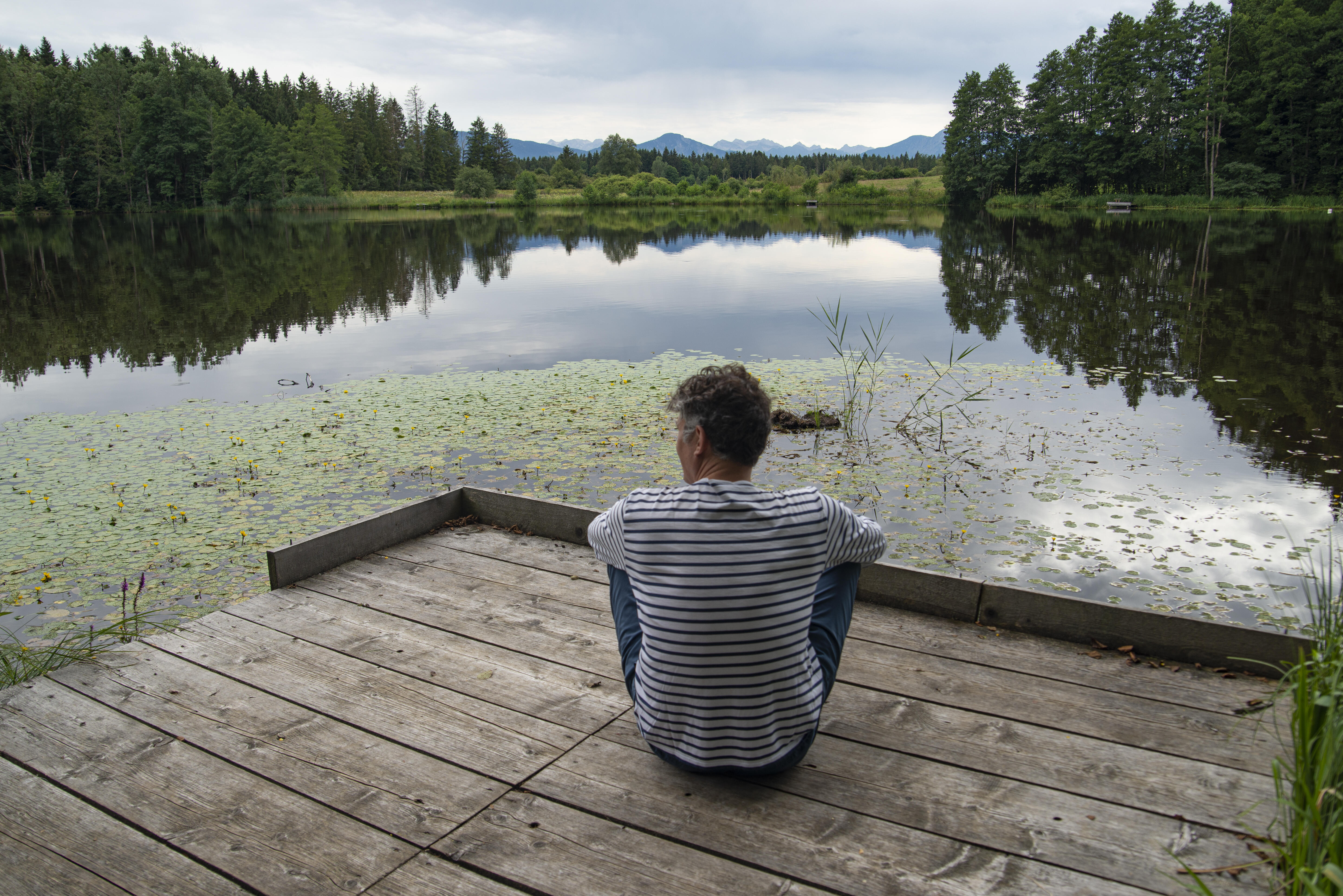 ZIST Umgebung Weiher, Rupen auf Steg