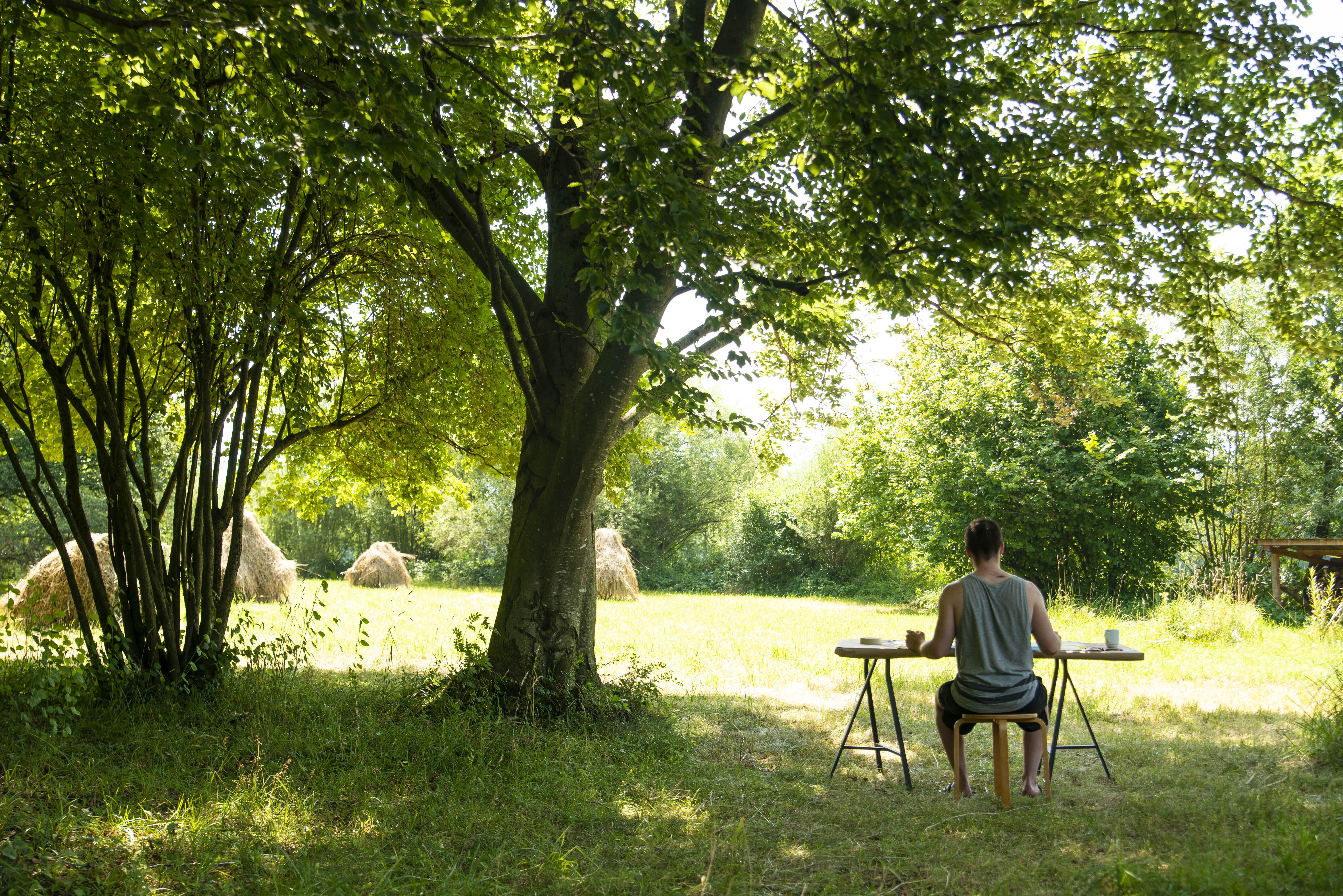 Ein Mann hat sich ein schattiges Plätzchen an einem Tisch unter einem Baum gesucht und genießt die Natur und Umgebung des ZIST
