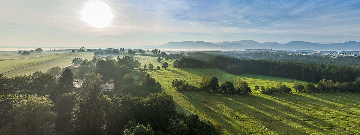 ZIST Morgenstimmung, Sonnenaufgang