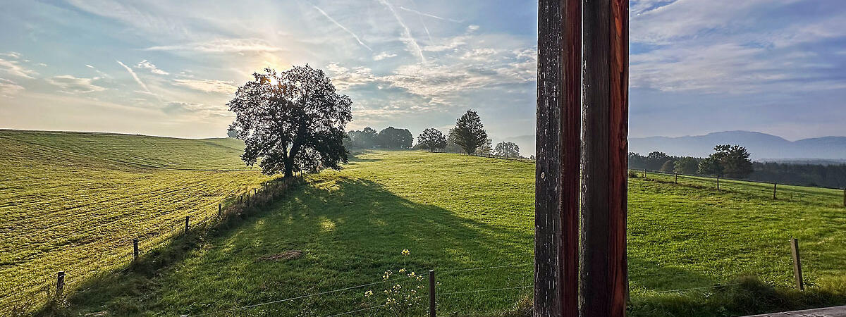 ZIST_Blick durch Fenster in die Sonne