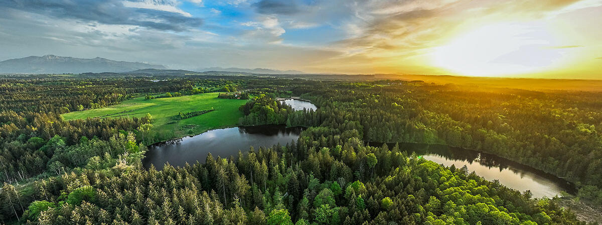 ZIST Weiher der Umgebung als Luftaufnahme