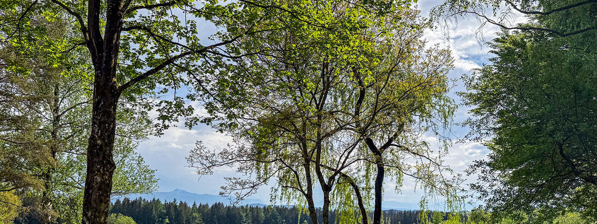 ZIST Garten vor Saal
