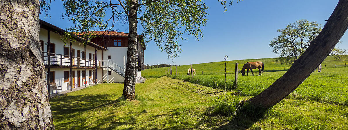 ZIST Ausblick auf Neubau