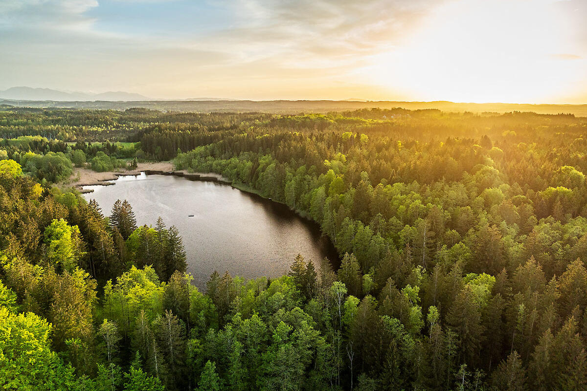 ZIST Umgebung, Weiher und Sonnenuntergang
