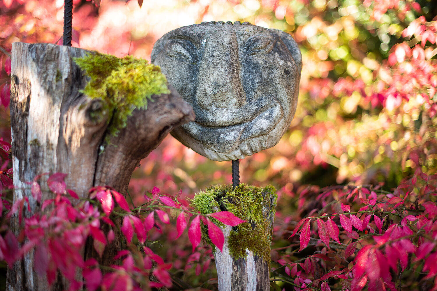 Eine lächelnde Steinskulptur umgeben von herbstlichen roten Blättern und Moos auf Holz im ZIST Garten.
