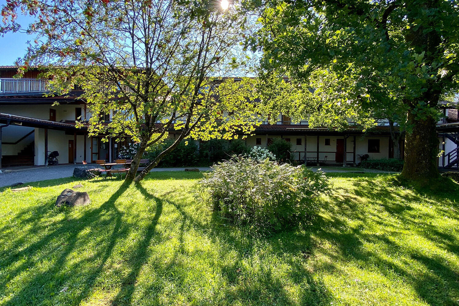 Sonniger ZIST Garten mit Schatten von Bäumen, einem Gebäude im Hintergrund und grünem Gras im Vordergrund.