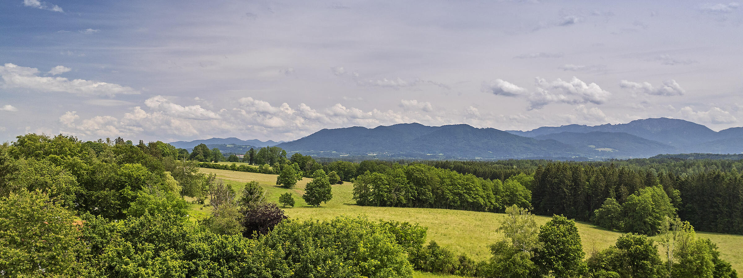 Weite grüne Landschaft um ZIST mit Bäumen und Bergen unter einem blauen Himmel