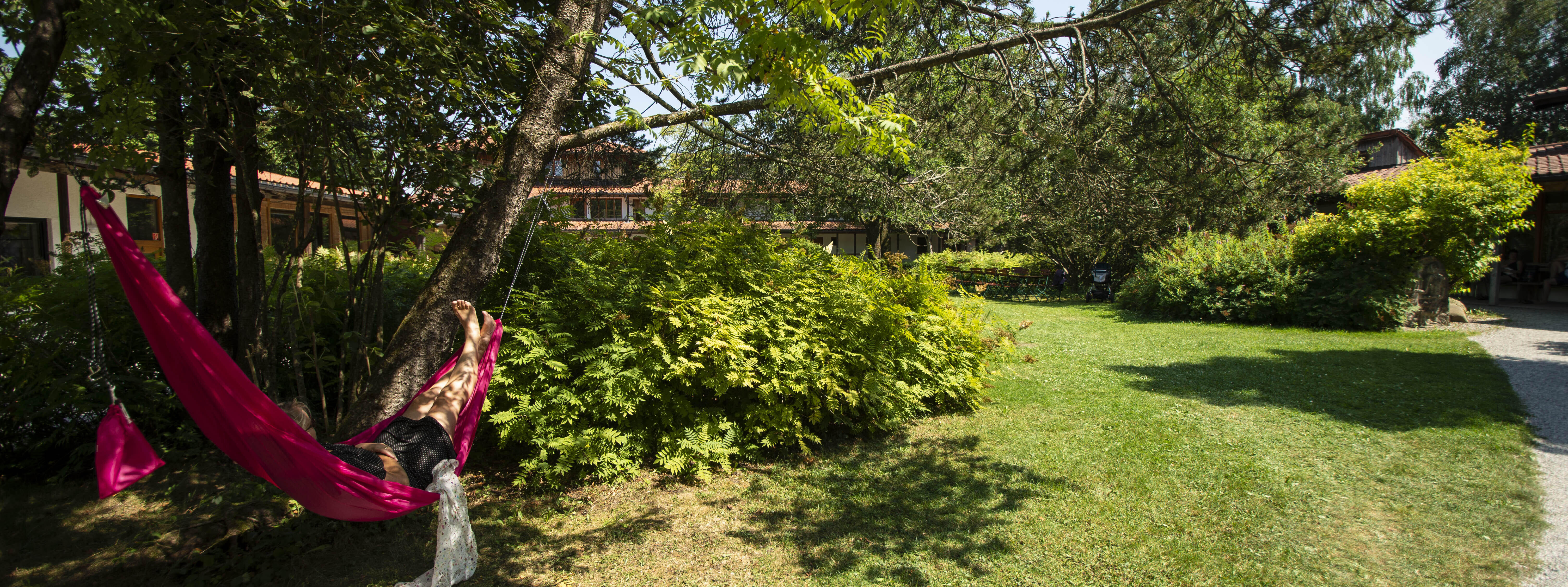 Hängematte unter einem Baum in einem grünen Garten von ZIST an einem sonnigen Tag