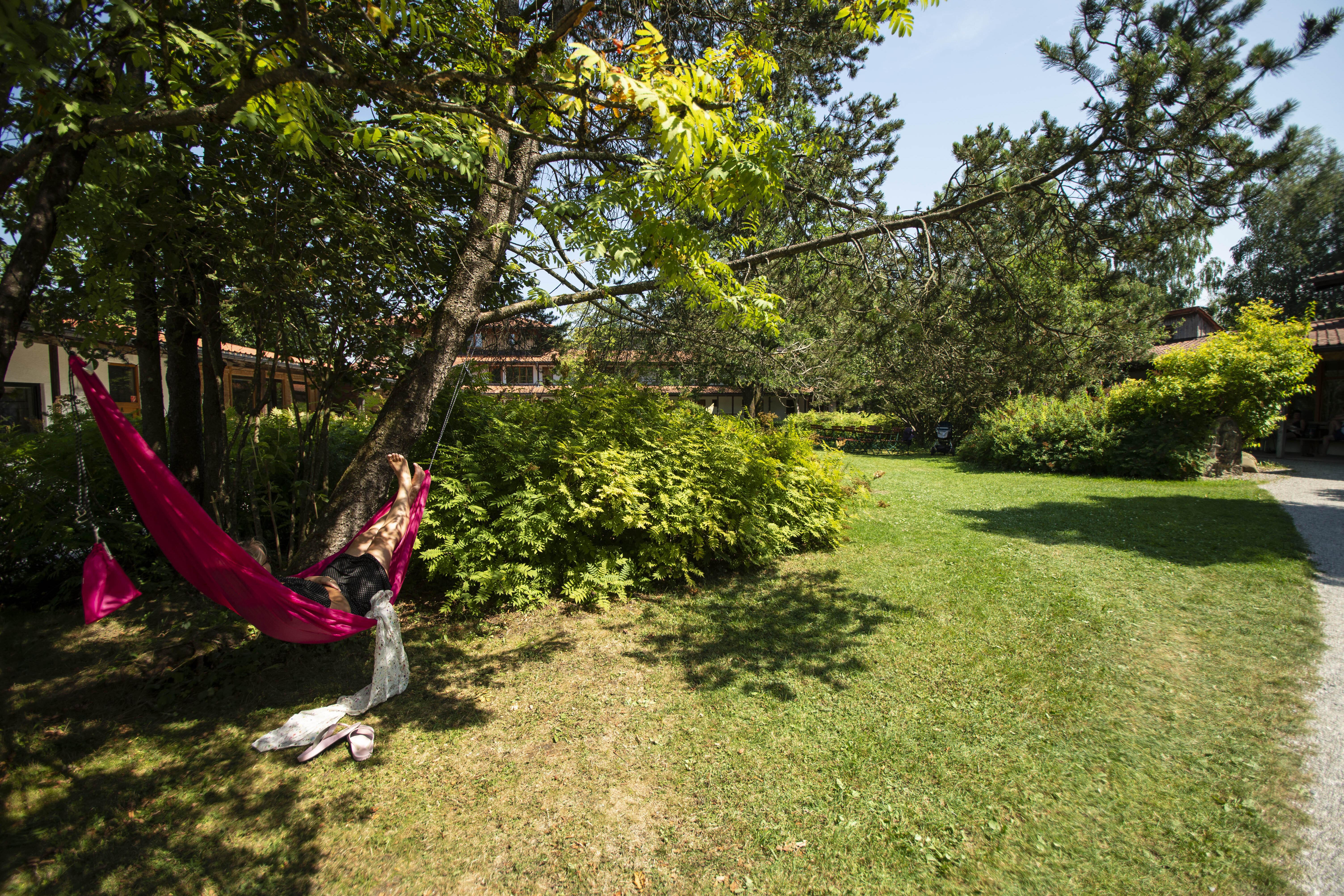 Hängematte unter einem Baum in einem grünen Garten von ZIST an einem sonnigen Tag