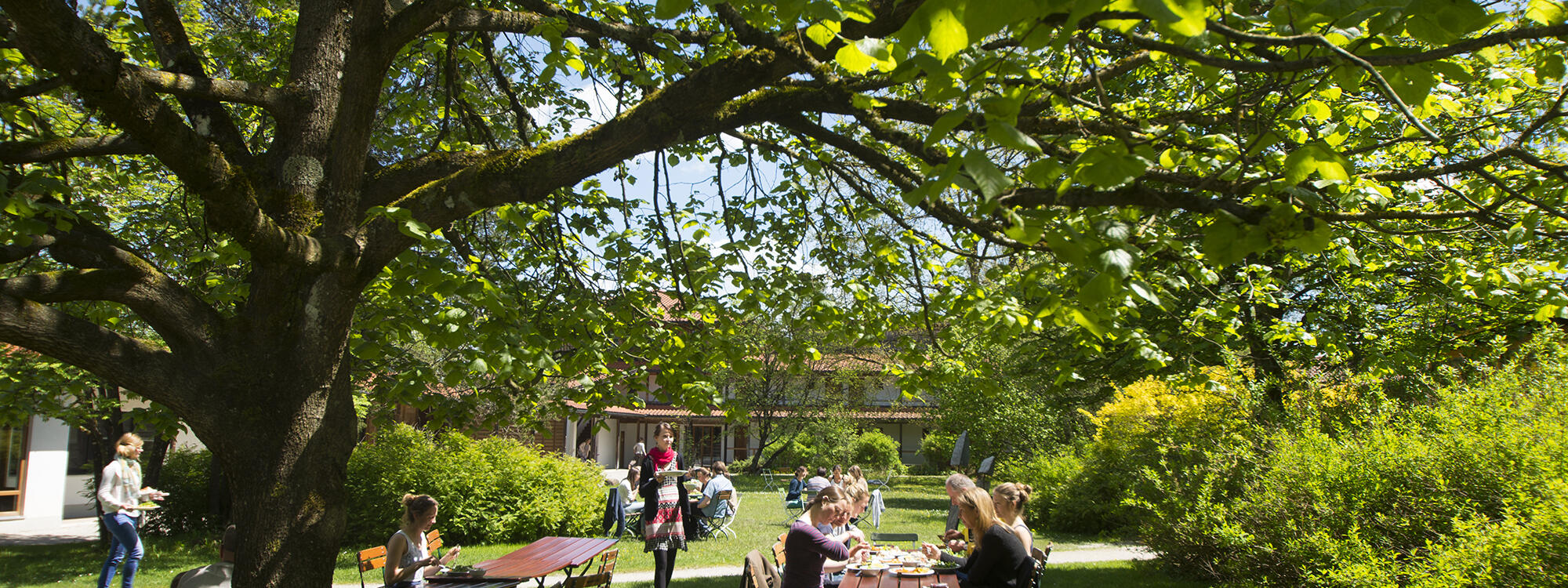 Menschen genießen ein Picknick unter einem Baum im ZIST Garten, Tische und Stühle stehen im Sonnenschein