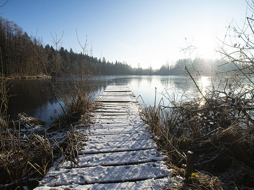 ZIST Steg im Wintermorgen