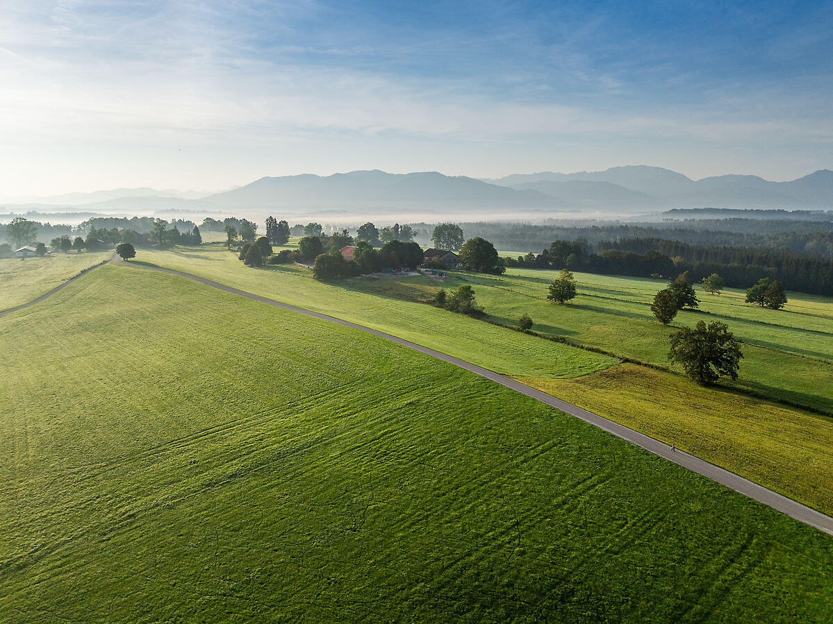 ZIST Umgebung im Morgennebel