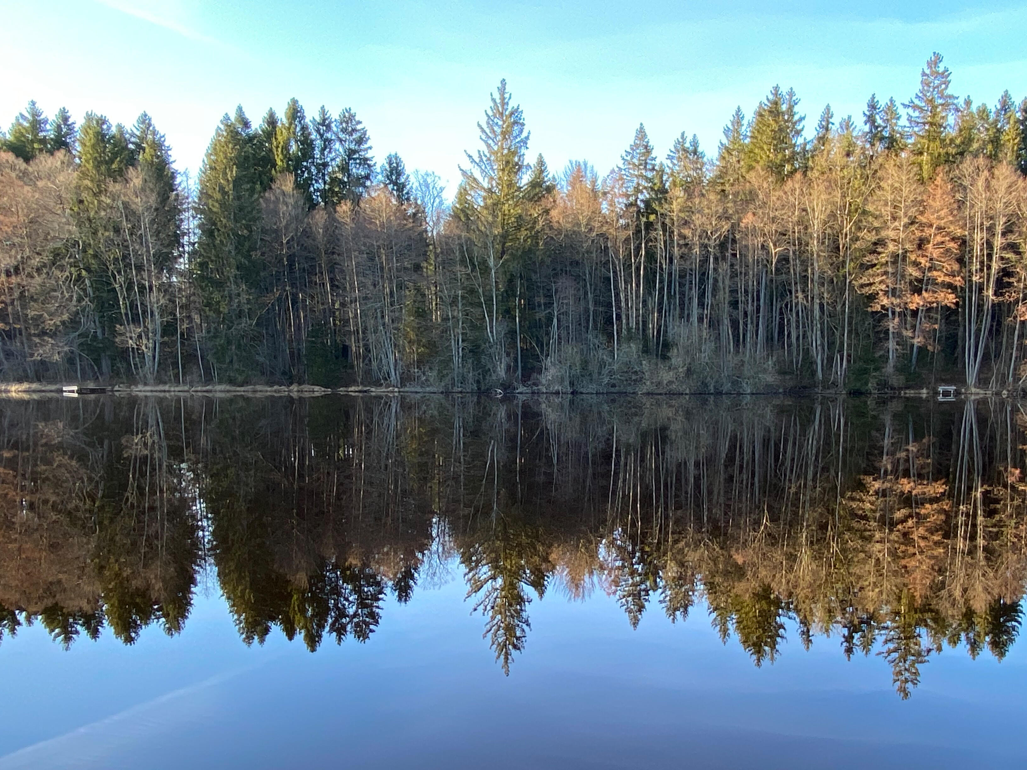 ZIST Morgenstimmung Weiher