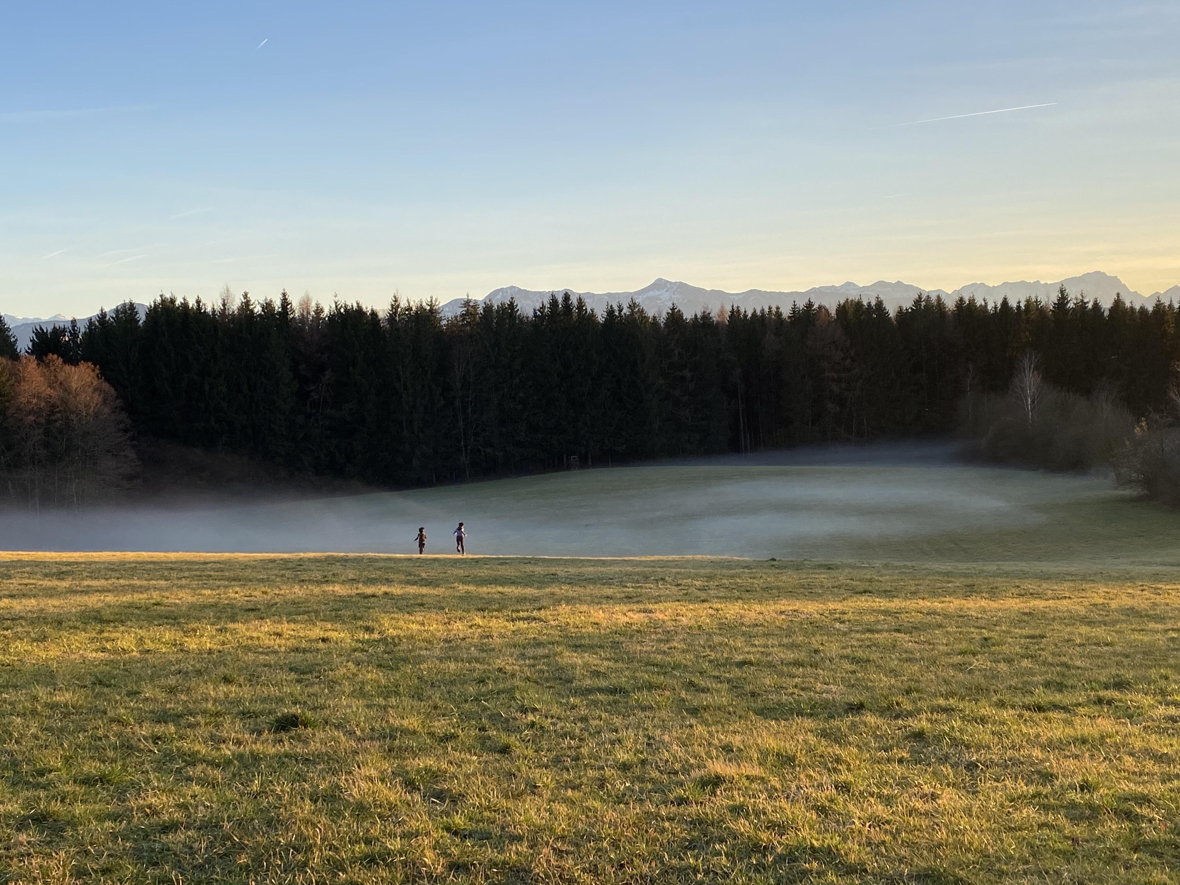 ZIST Morgenstimmung Nebel