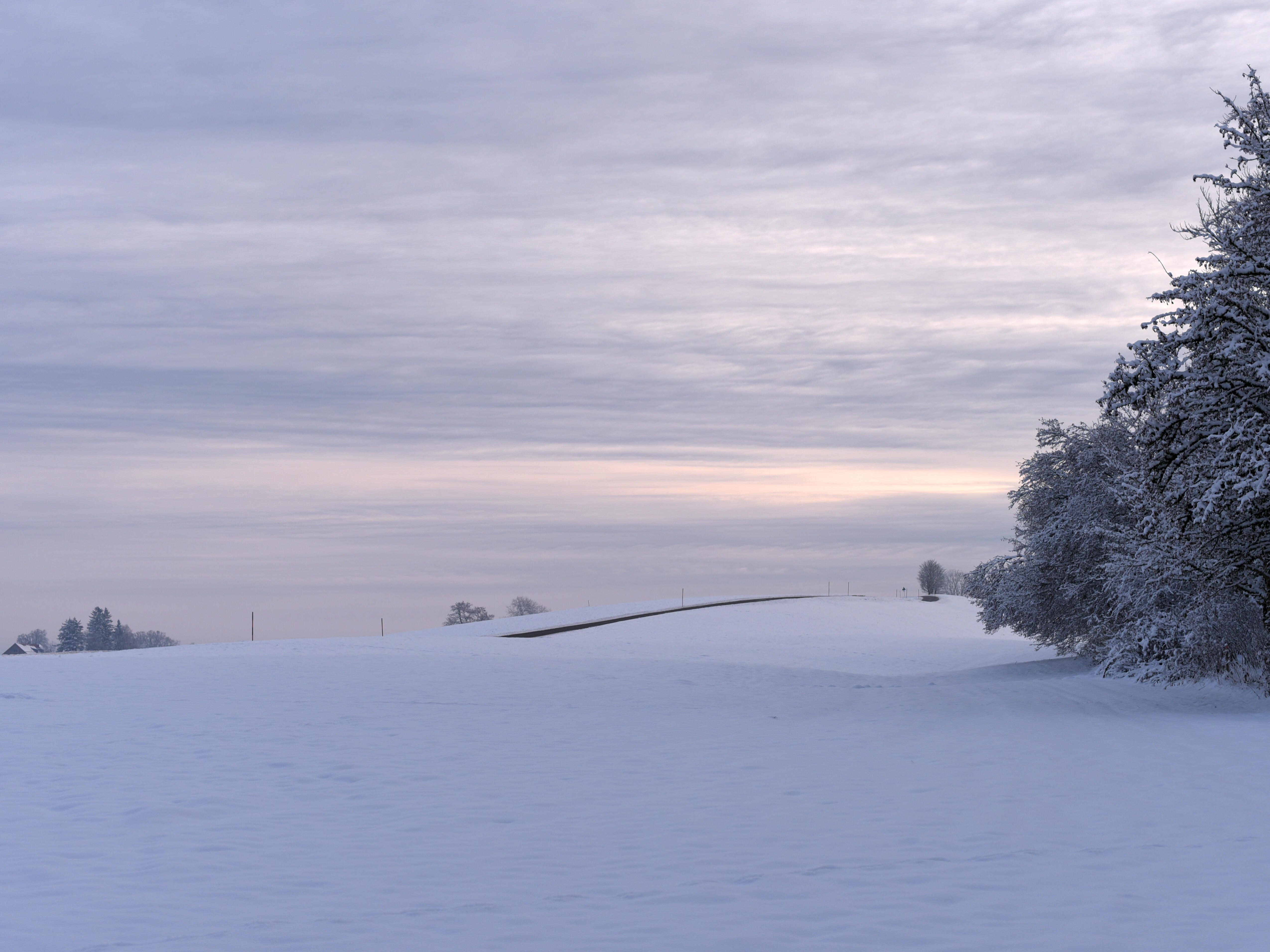 ZIST Winterstimmung Landschaft