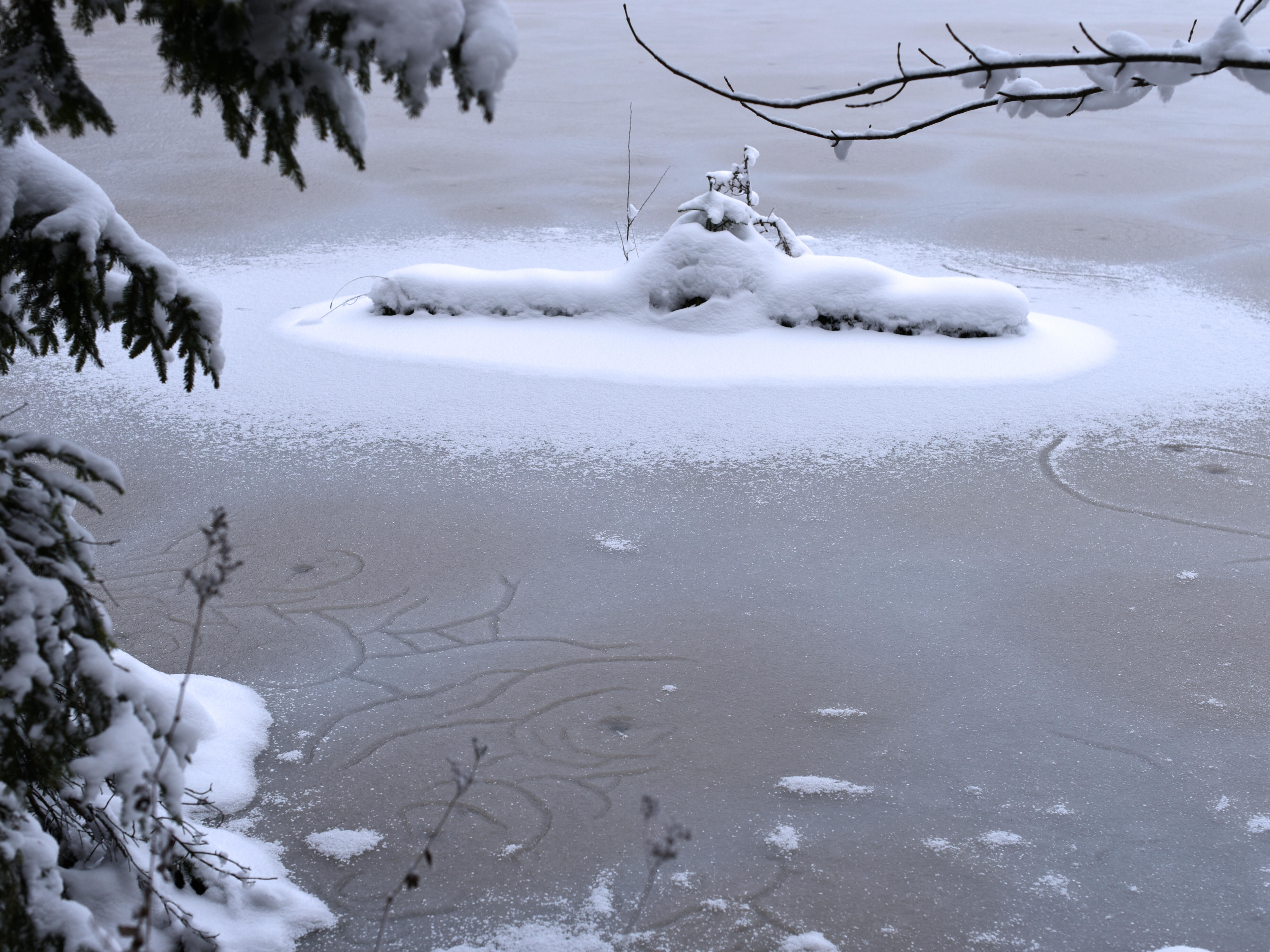 ZIST Winterweiher