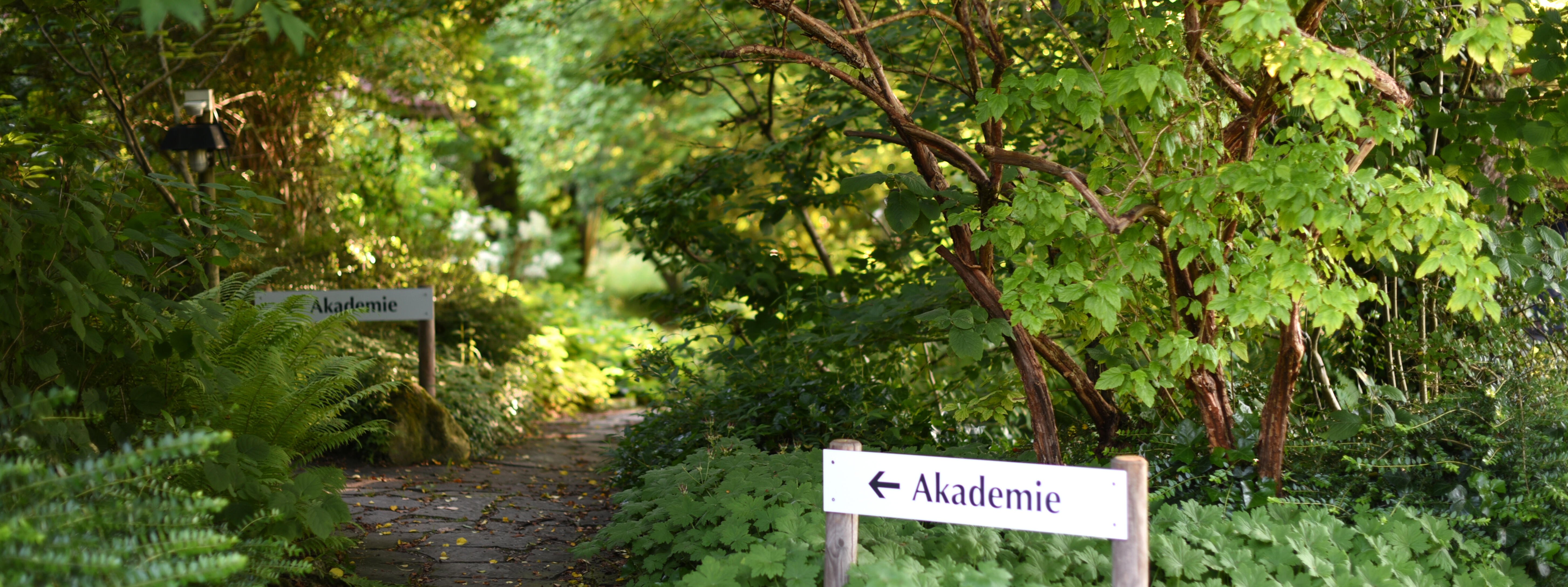 Weg zur ZIST Akademie für Üsychotherapie, umgeben von üppigem Grün und Sträuchern.