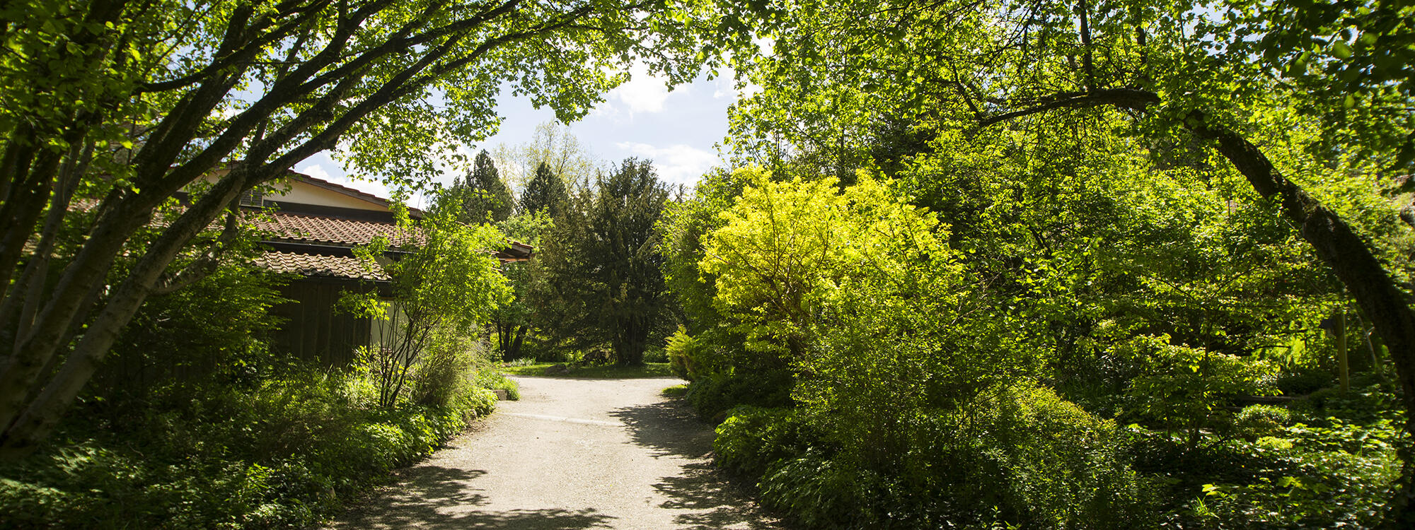 Zugang zum Innenhof ZIST im Sommer