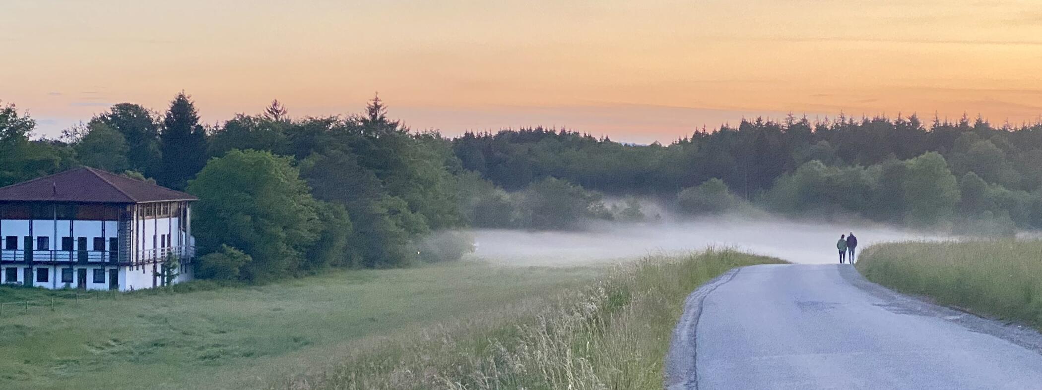 ZIST Gebäude im Morgennebel