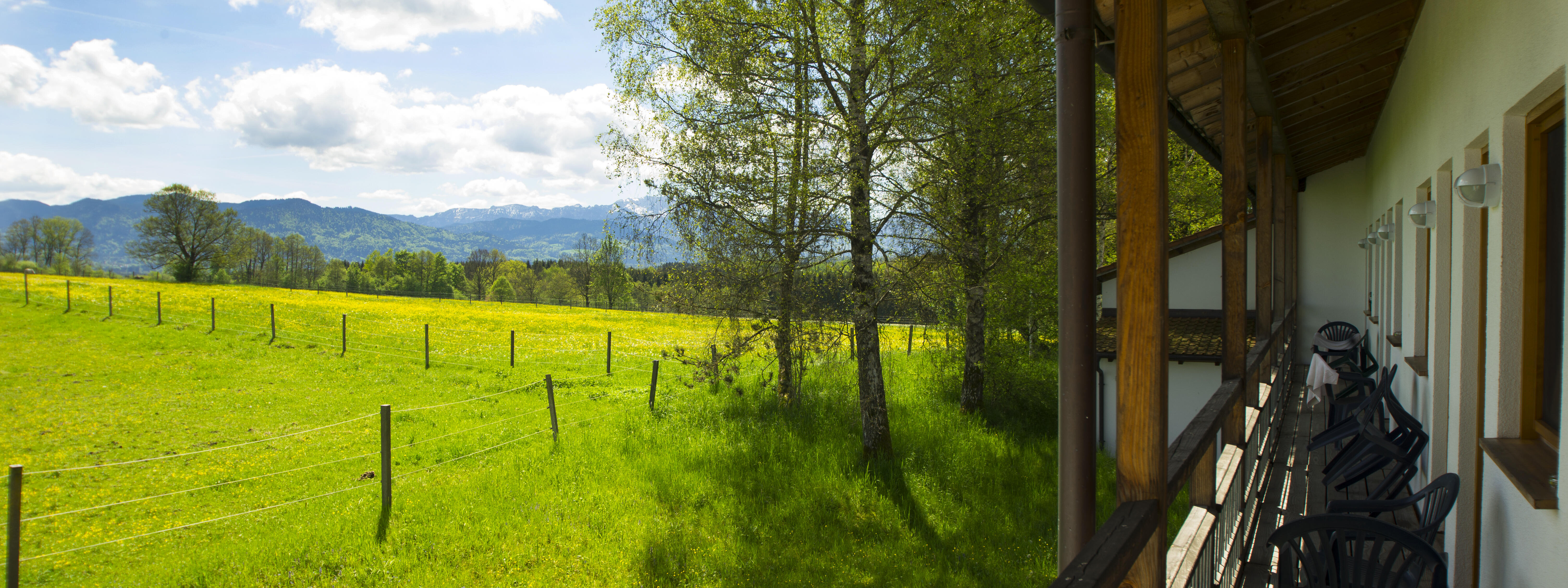 ZIST Ausblick auf die Berge im Sommer