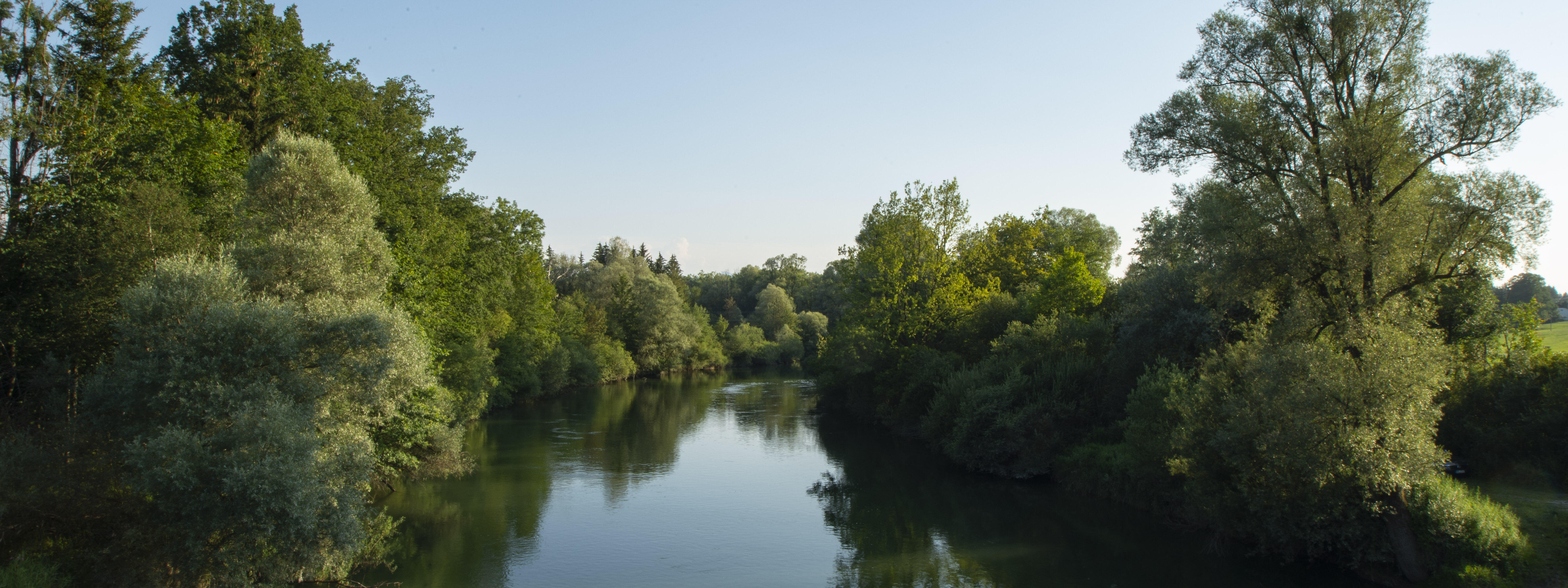 Umgebung Loisach Sommer