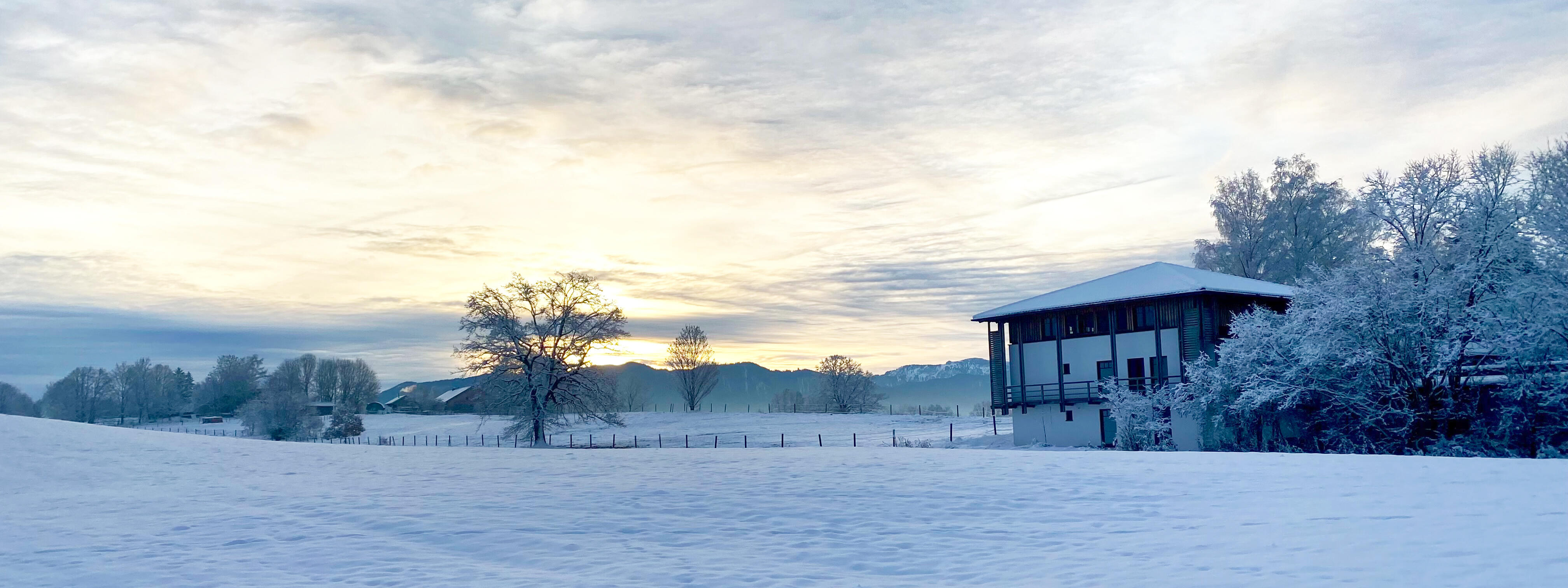 ZIST im Winter mit Schnee