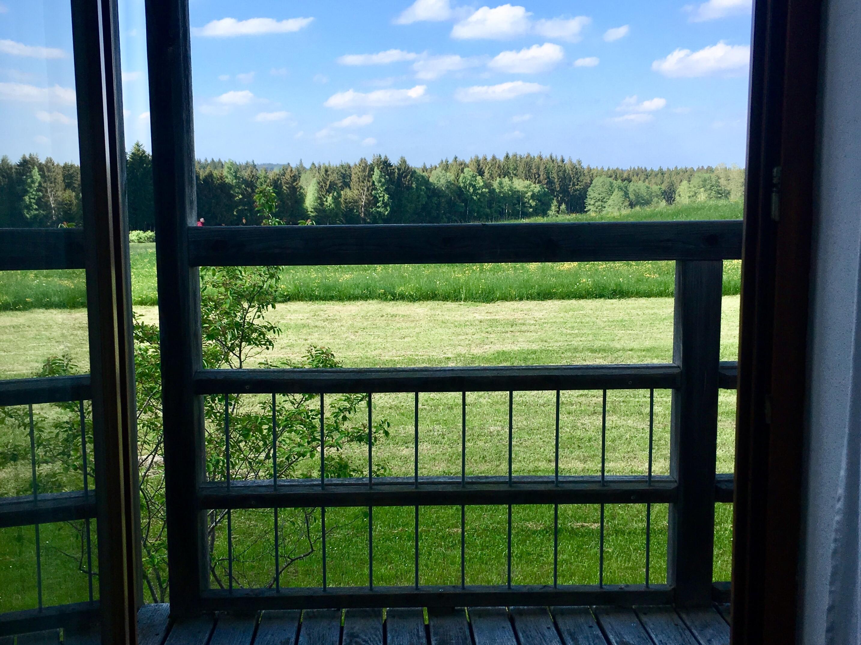 Aussicht vom Balkon in ZIST auf eine grüne Wiese im Sommer