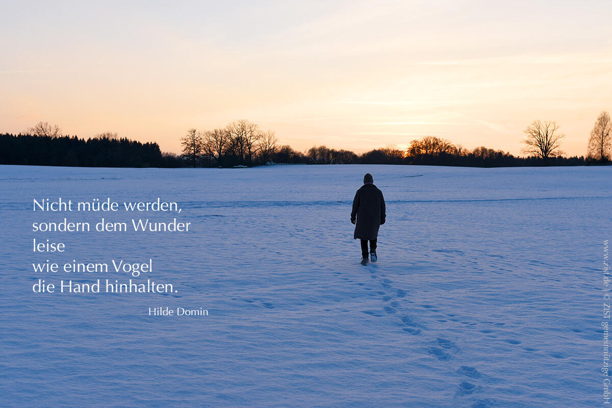 Nicht müde werden - Hilde Domin