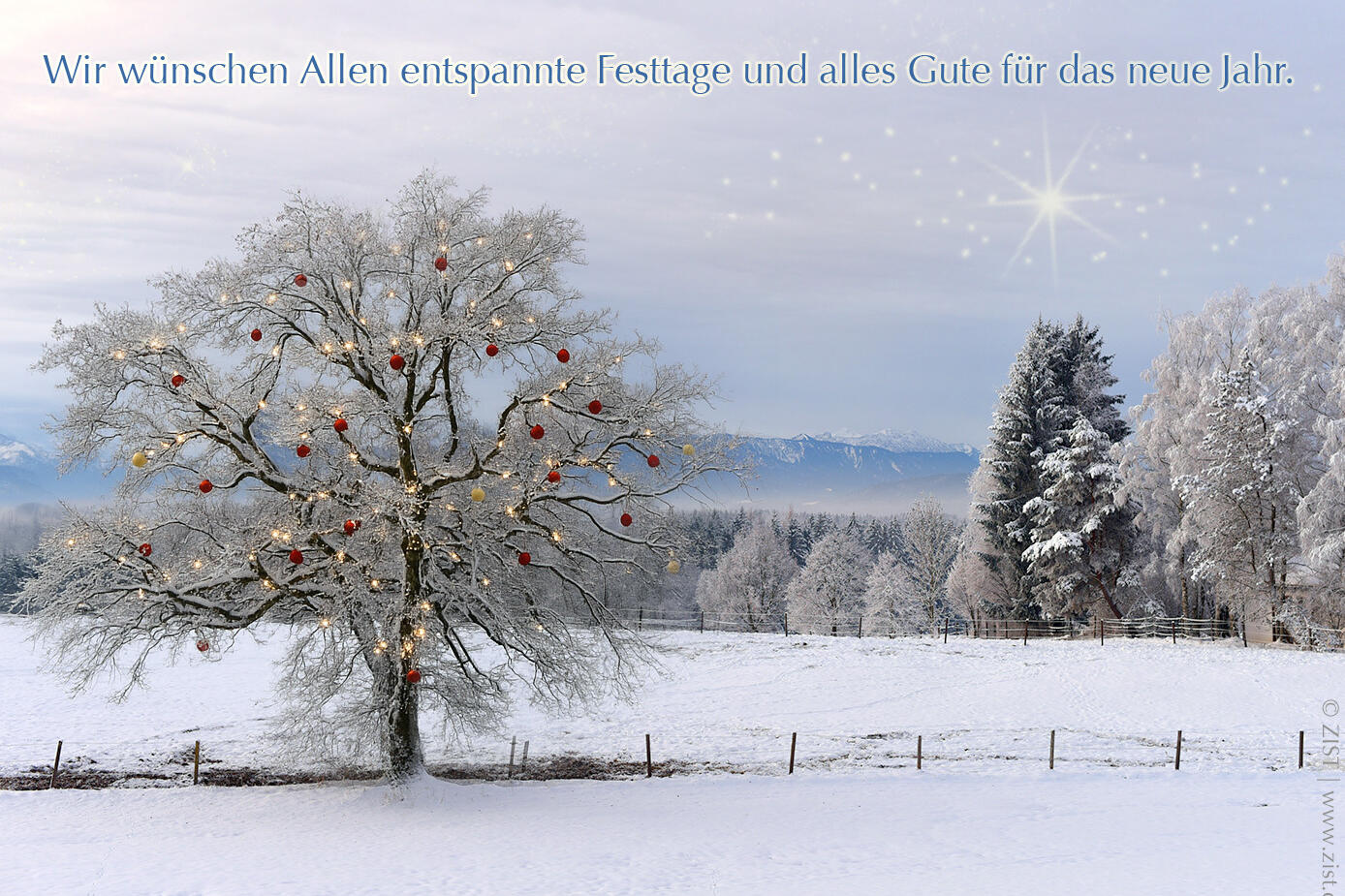 ZIST wünscht frohe Weihnachten und ein gutes neues Jahr.
