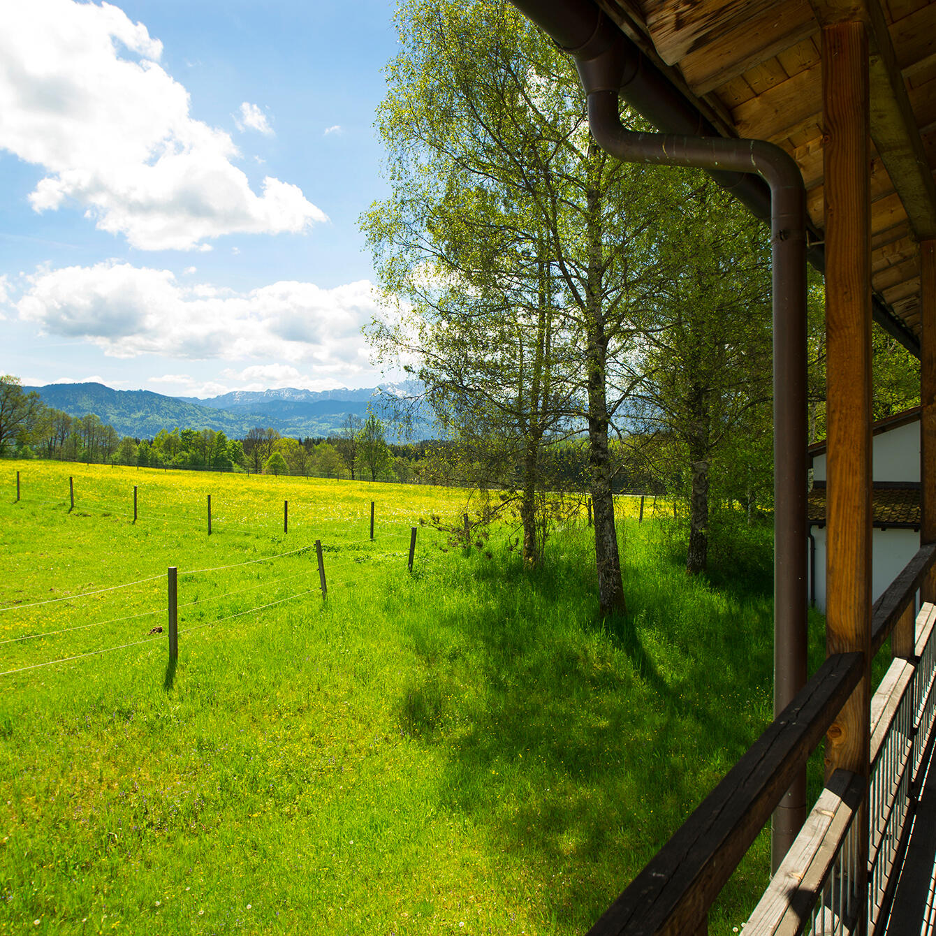 Aussicht vom Balkon in ZIST mit blühender gelber Wiese und Bergpanorama im Frühling
