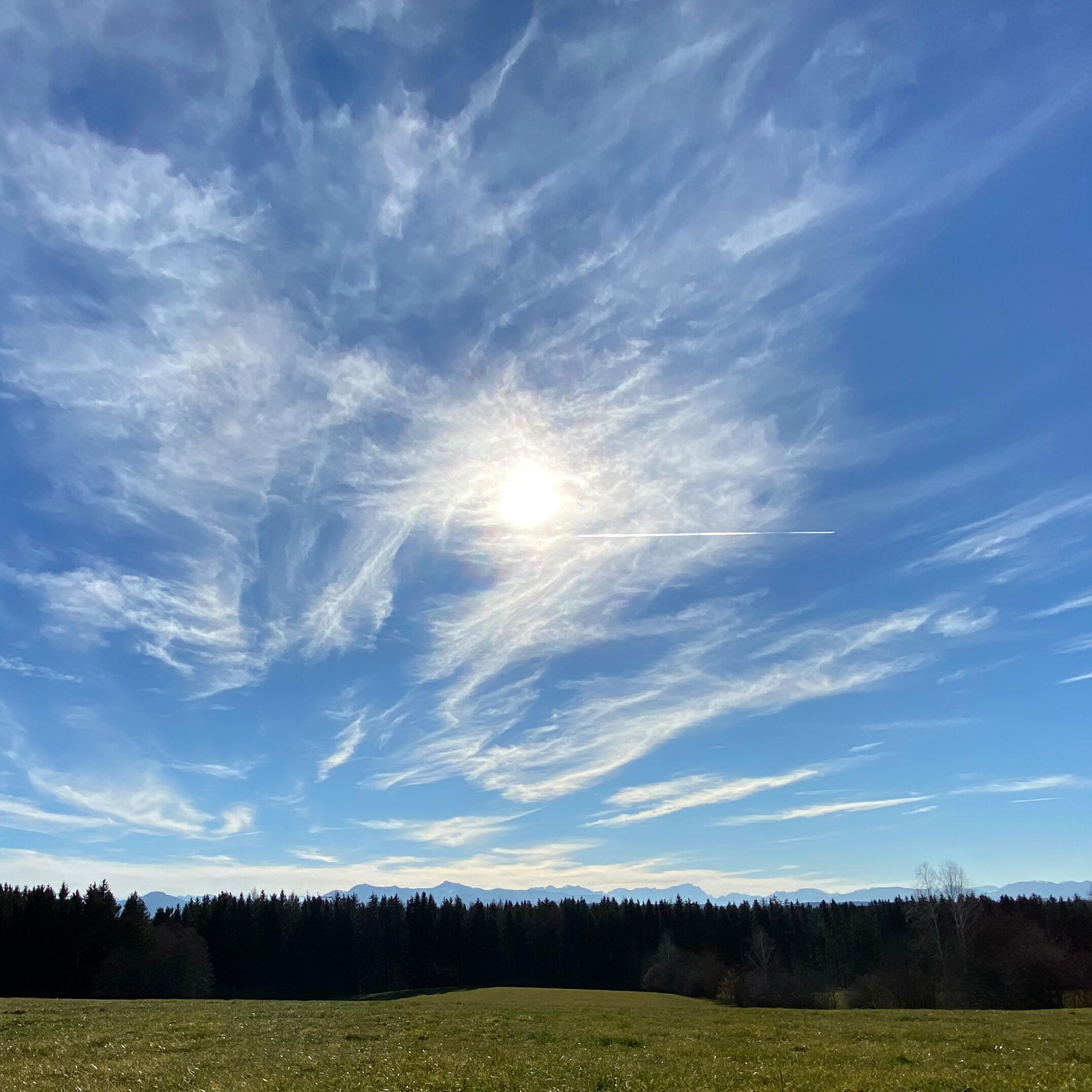 Die Sonne leuchtet durch dynamische, federartige Wolken über der weiten ZIST Wiesenlandschaft.