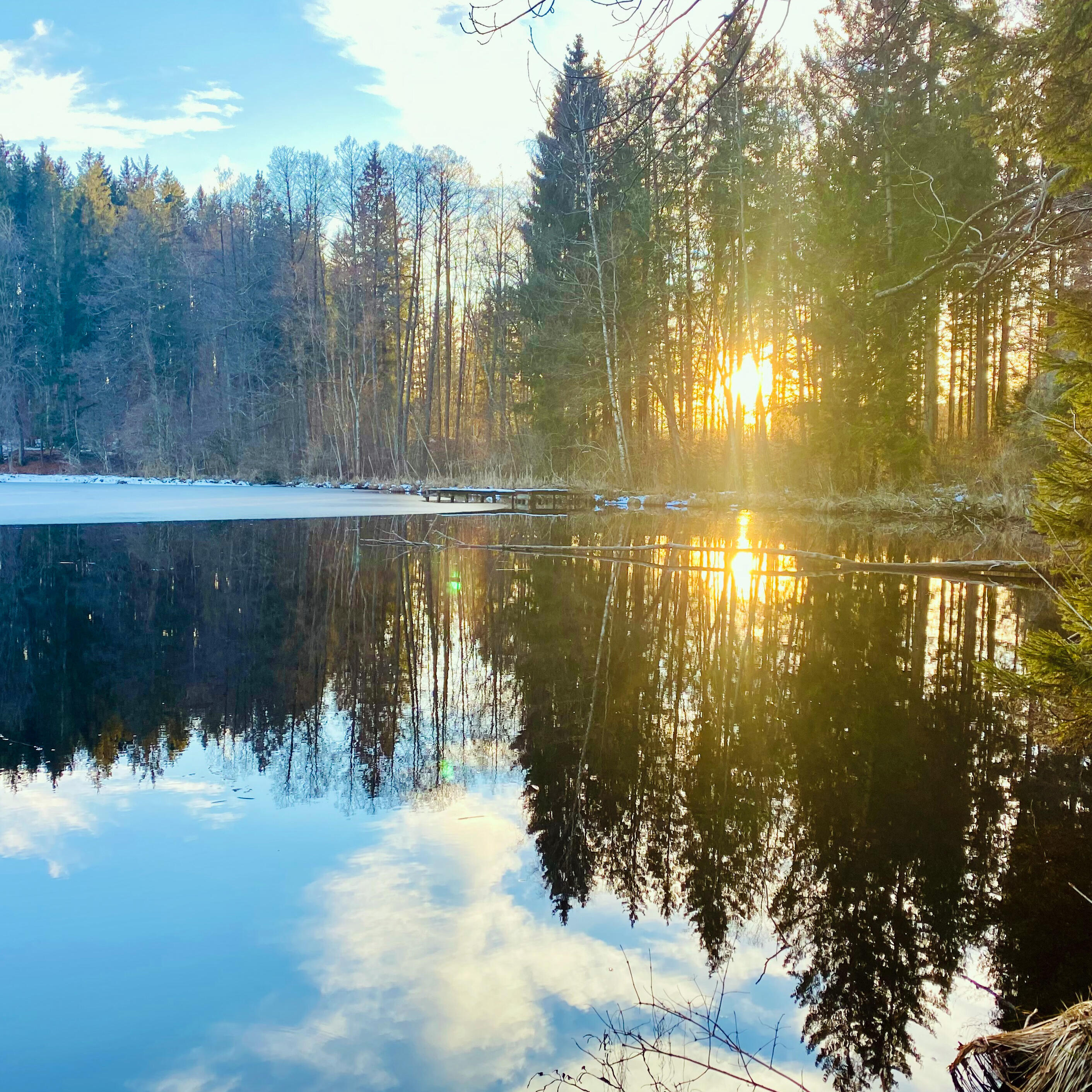 Die untergehende Sonne strahlt durch die Bäume und spiegelt sich auf der ruhigen Wasseroberfläche eines Sees.