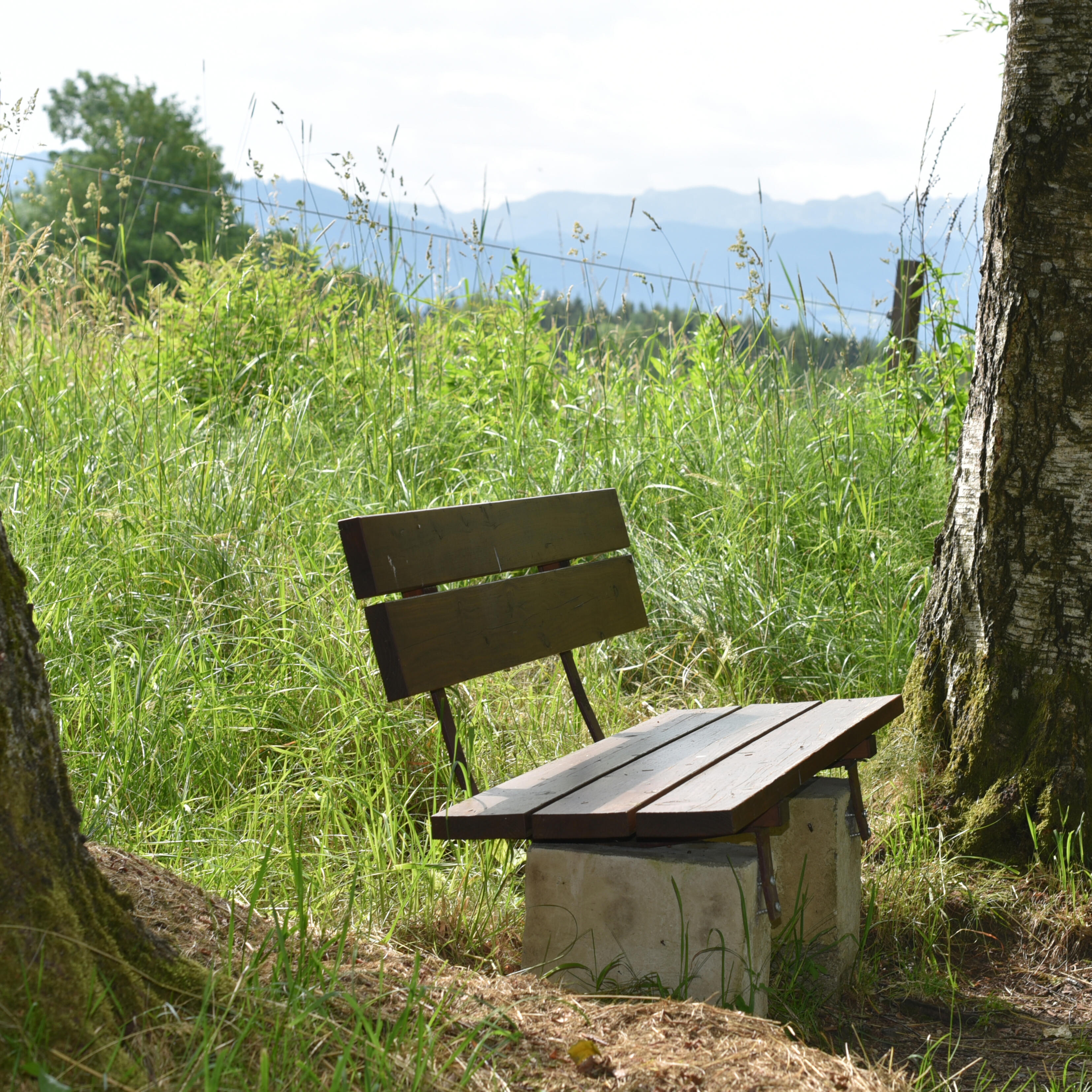 Eine einsame Bank steht zwischen zwei Bäumen und bietet einen weiten Blick auf die ZIST Landschaft.