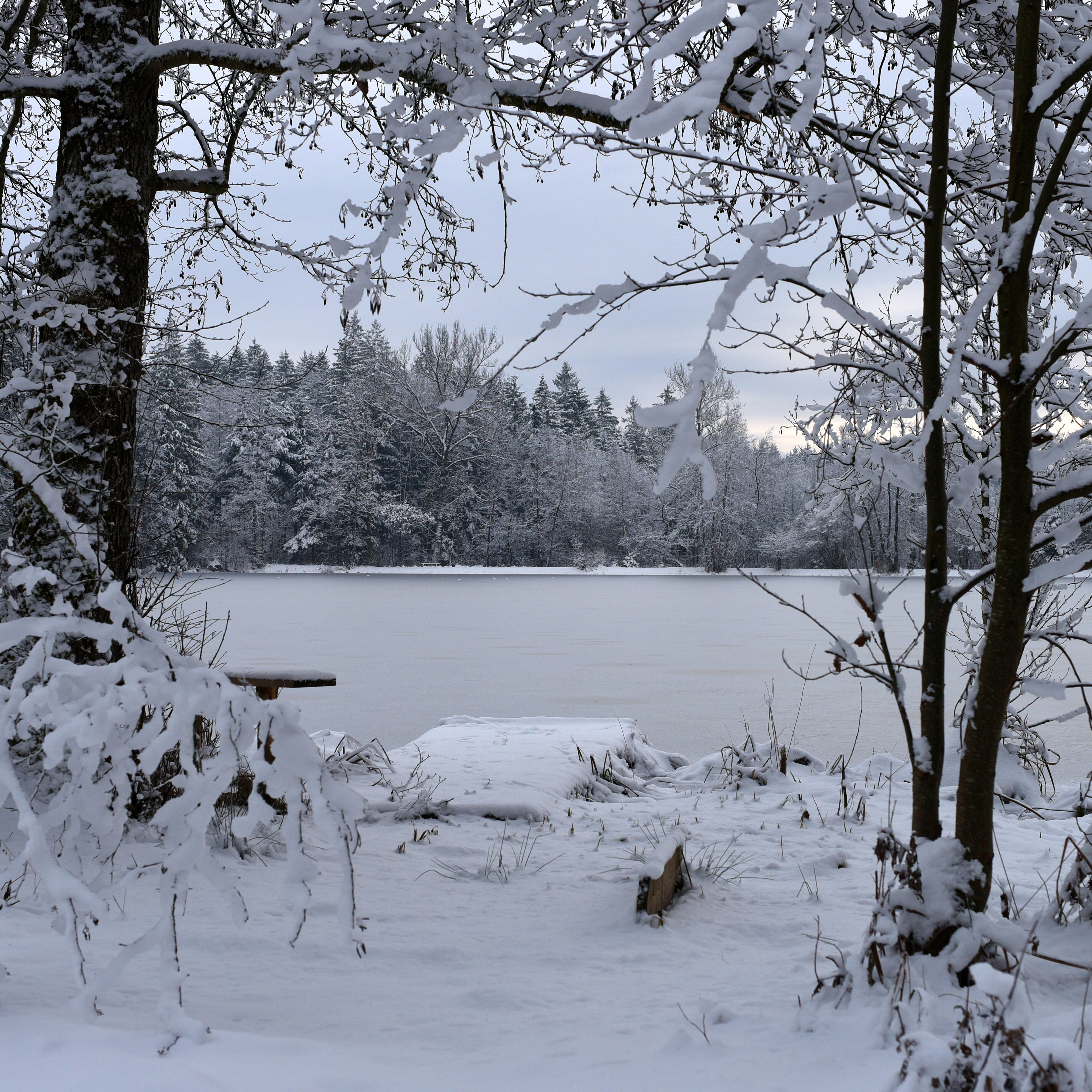 Steg am See bei ZIST | Winterlandschaft mit Schnee und Eis