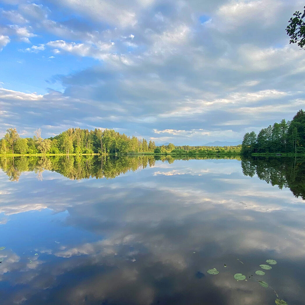 Ein ruhiger See mit Spiegelung des Himmels und der umliegenden Natur. Die sanften Wolken und das satte Grün der Uferlandschaft schaffen eine entspannte, harmonische Atmosphäre.
