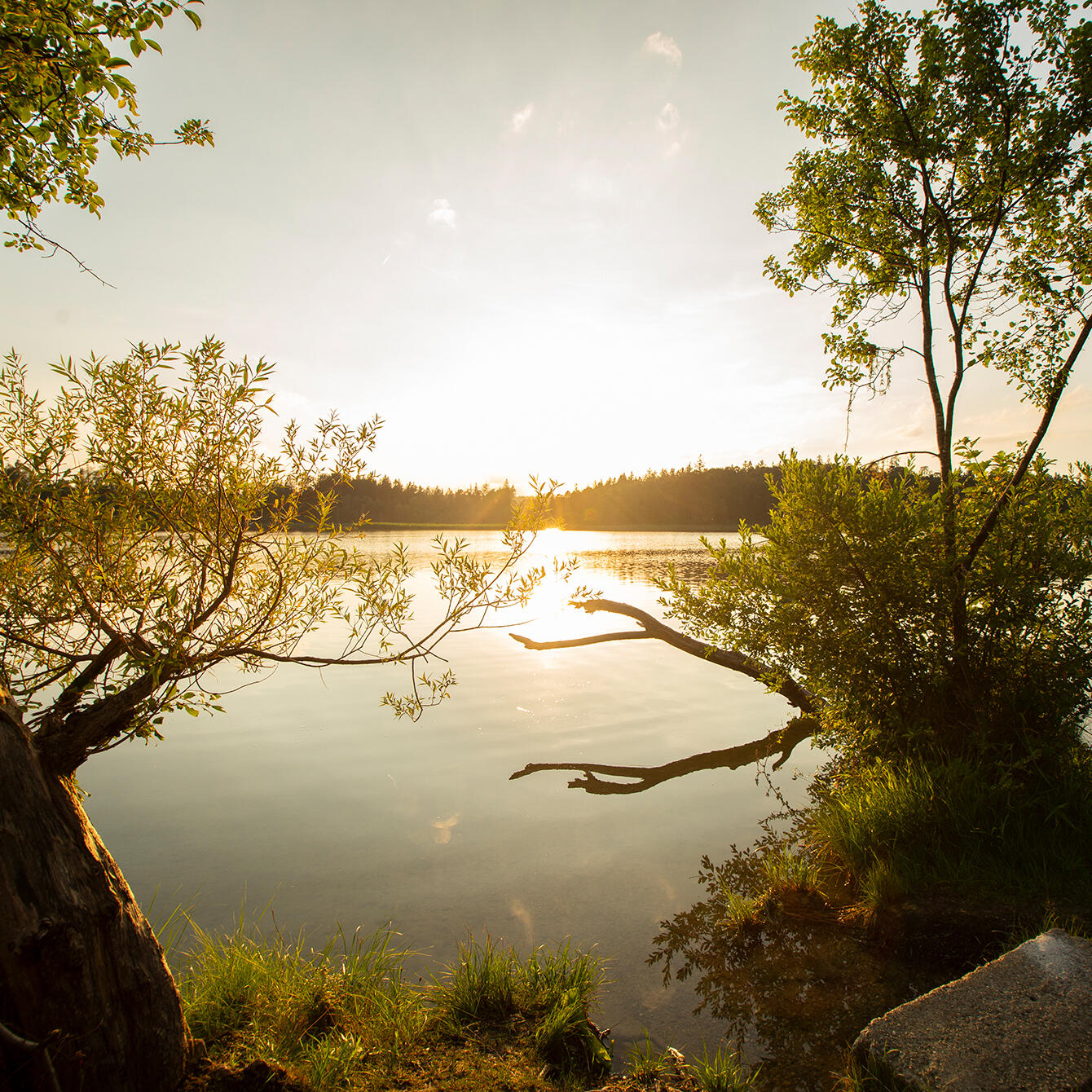 Die untergehende Sonne taucht die ruhige Wasseroberfläche eines Sees in warmes, goldenes Licht.
