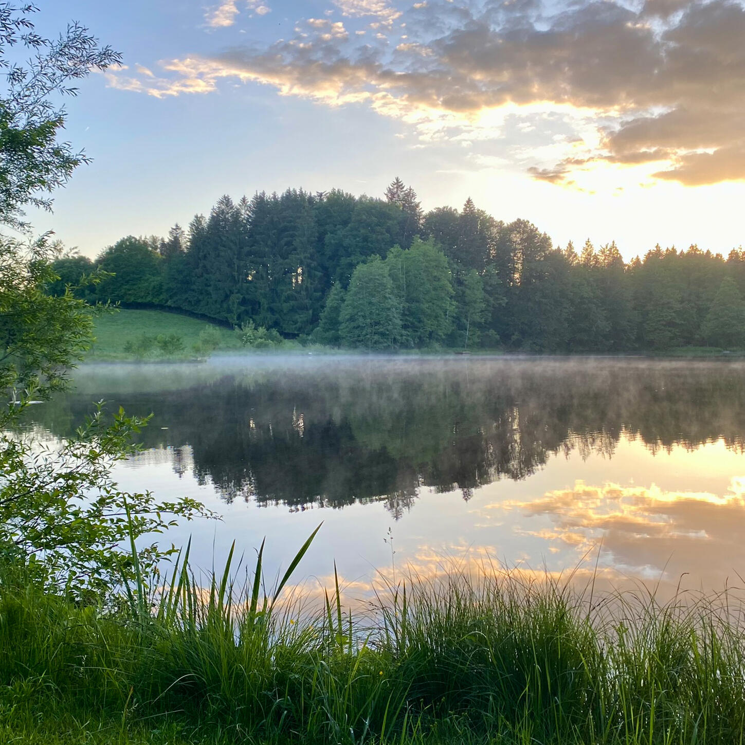 Ein idyllischer See im sanften Licht des Sonnenaufgangs, umgeben von dichter Natur. Der zarte Nebel über der Wasseroberfläche und die Spiegelung des Himmels schaffen eine magische Atmosphäre.