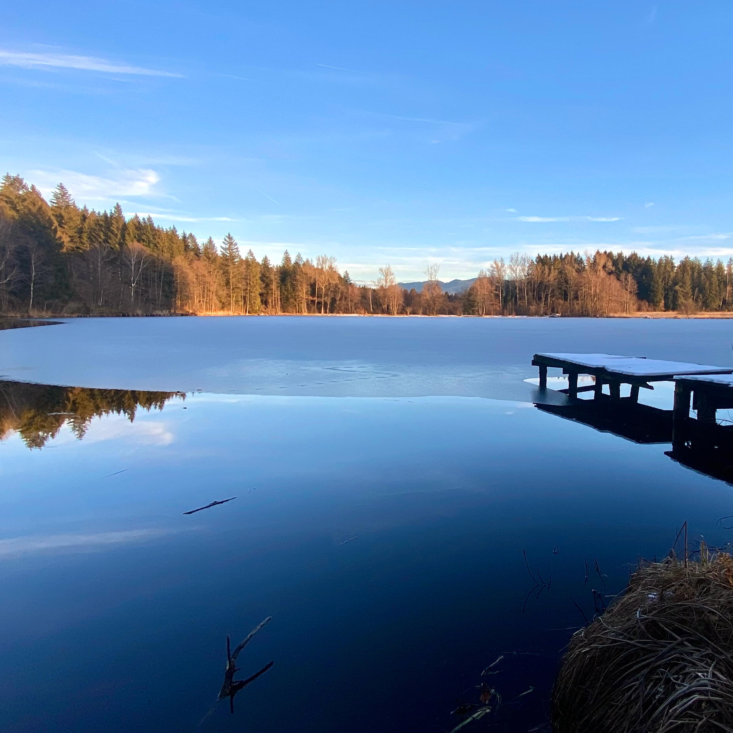Ein teils zugefrorener See mit einem ruhigen Holzsteg, umgeben von einer winterlichen Waldlandschaft. Klare Spiegelung und warmes Licht der tiefstehenden Sonne.