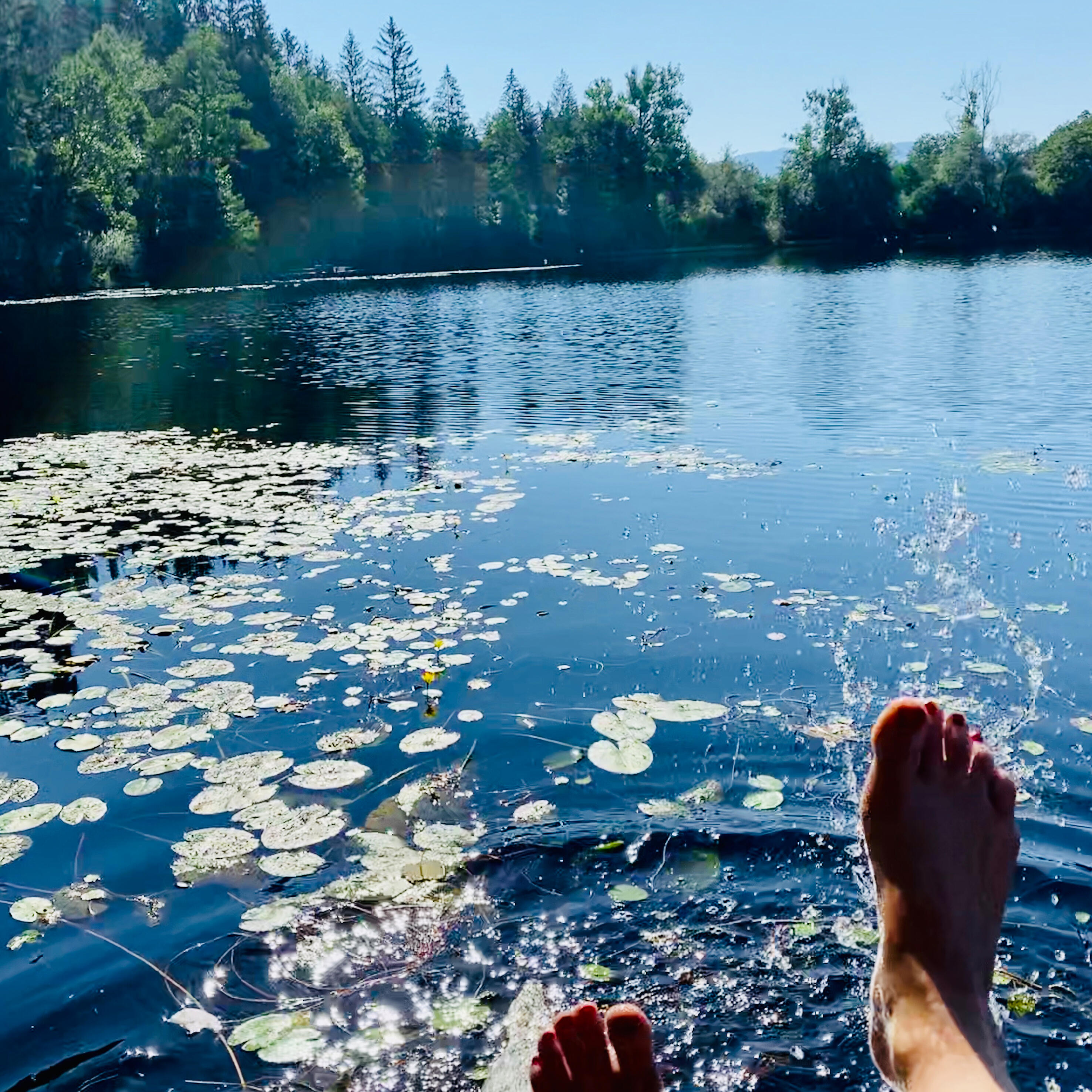 Ein perfekter Sommertag am See: Füße baumeln entspannt über der Wasseroberfläche, während Seerosen sanft treiben.