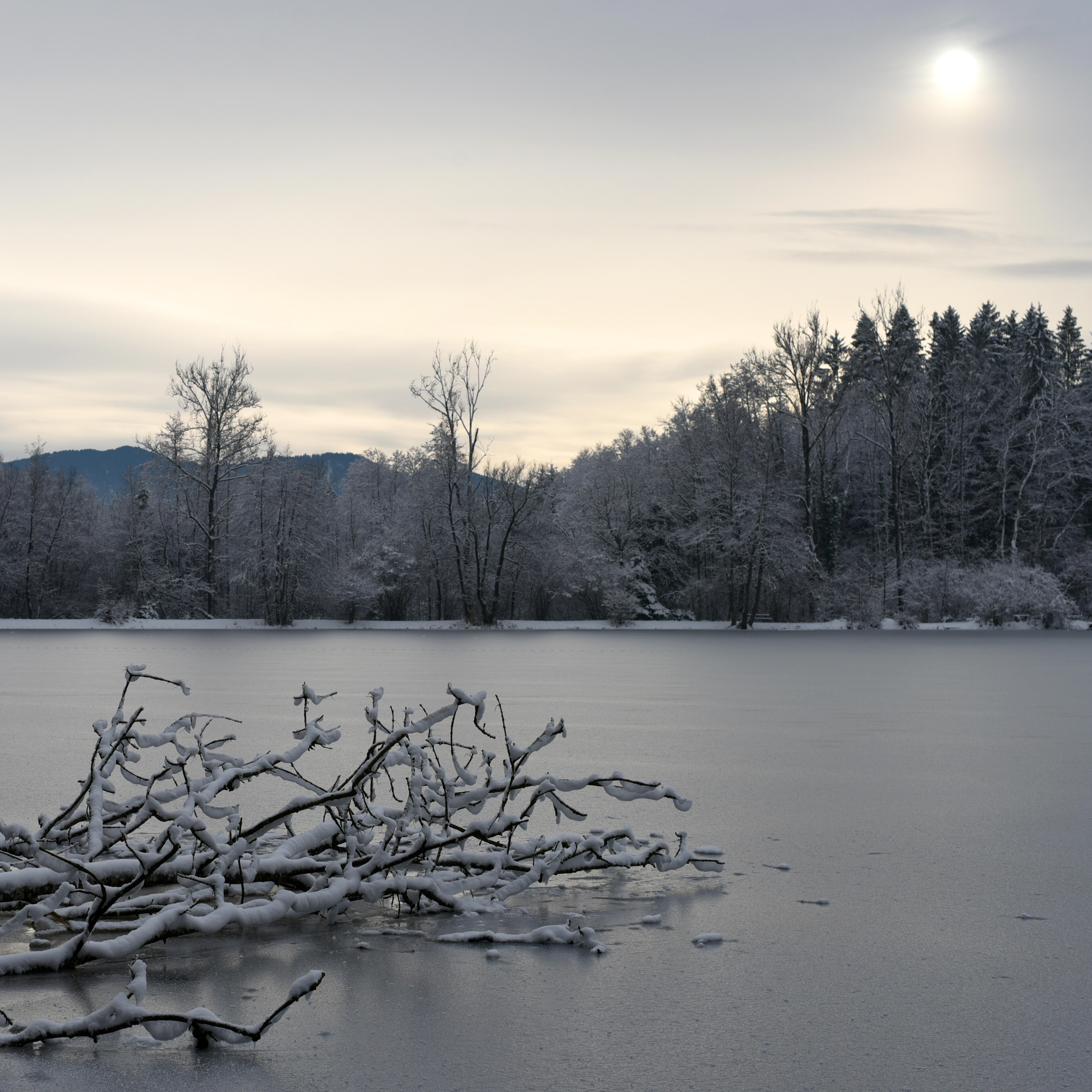 Vereiste Winterlandschaft mit See bei ZIST