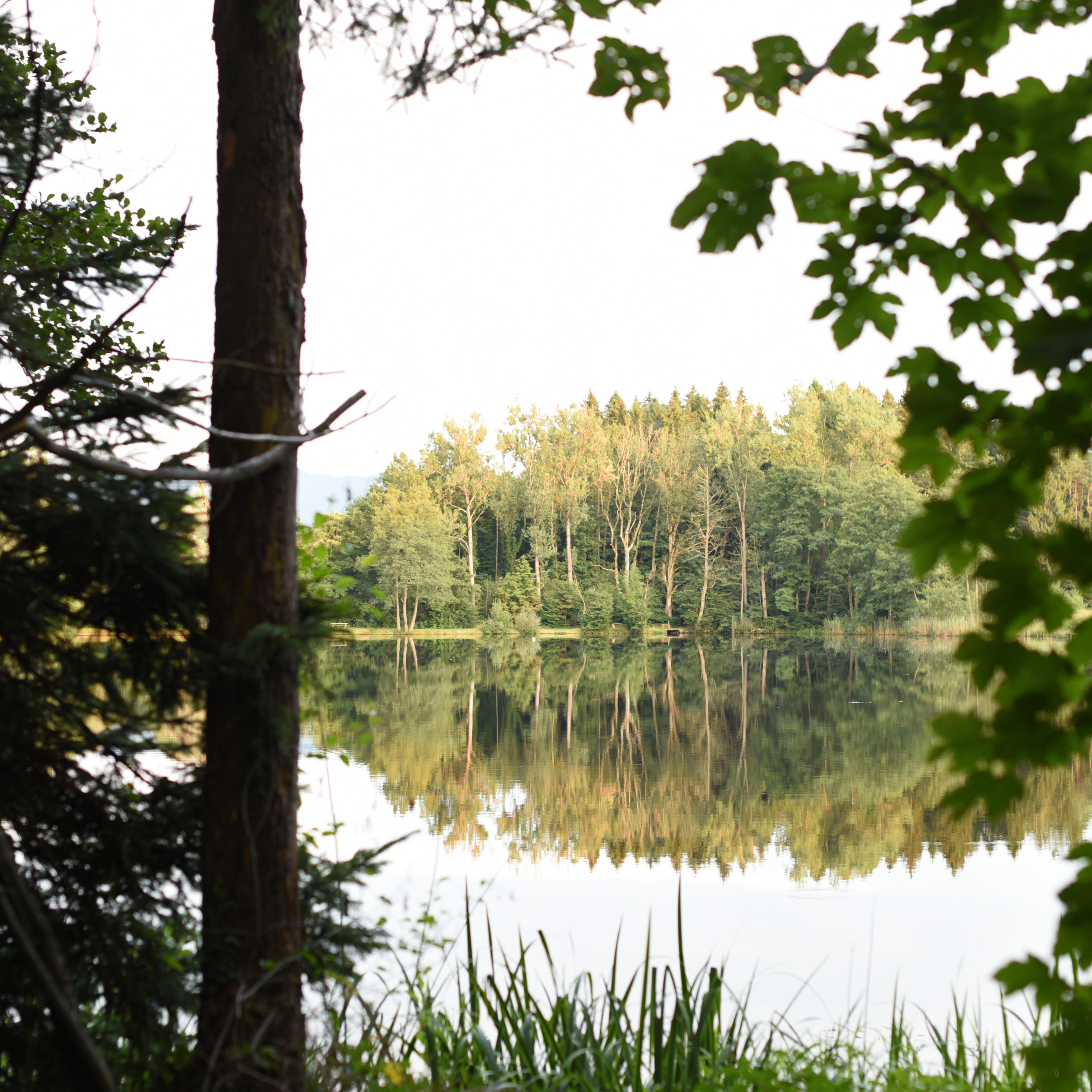 Blick auf See bei ZIST
