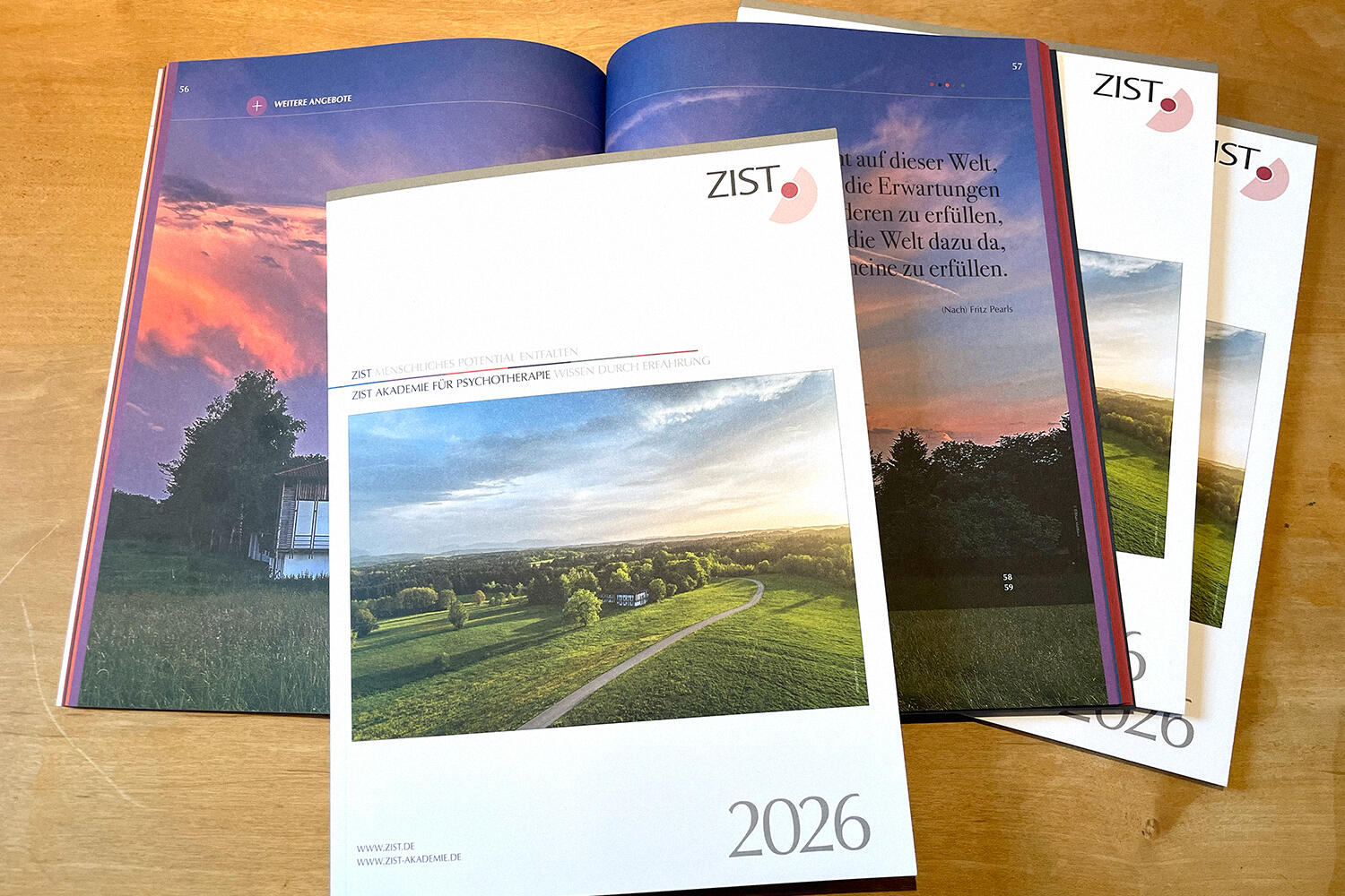 ZIST Programmheft 2026 Faecher 1500px