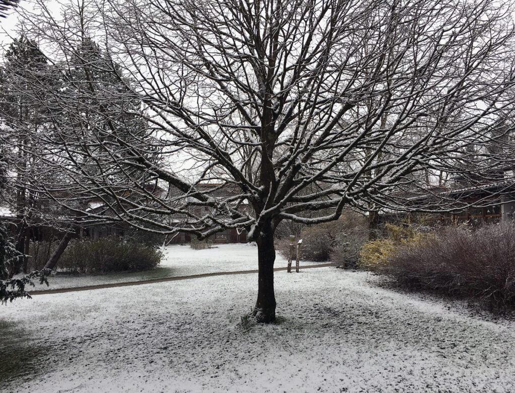 Schnee im Frühling