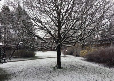 Schnee im Frühling