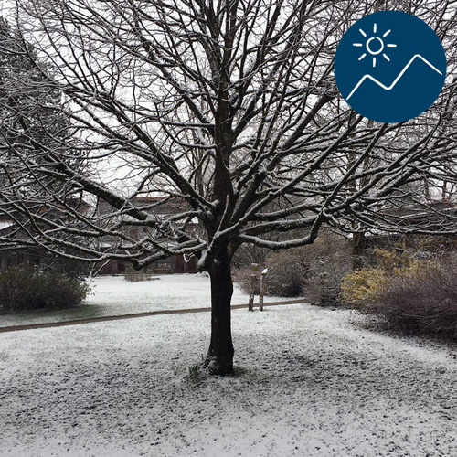 SCHNEE IM FRÜHLING