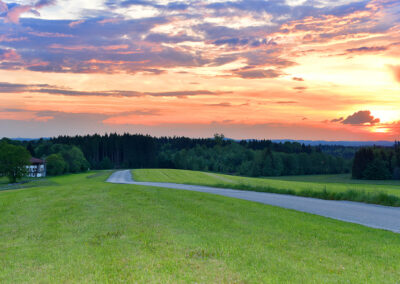 ZIST in der Abendsonne