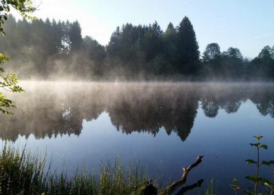 Nebel auf dem Weiher bei ZIST am Morgen