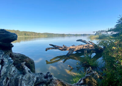 Baden in den Osterseen nahe ZIST