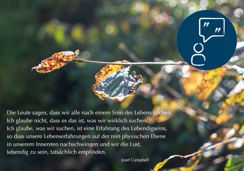 DIE SUCHE NACH DEM SINN DES LEBENS – Josef Campbell