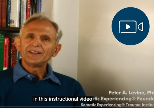 INTRODUCTION TO SOMATIC EXPERIENCING | Peter Levine